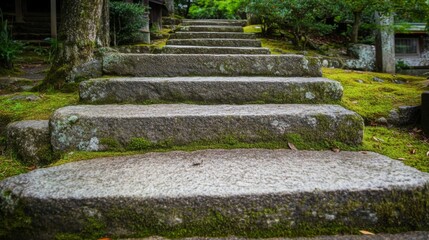 Fototapeta premium Stone Steps Leading Upward Through a Mossy Garden