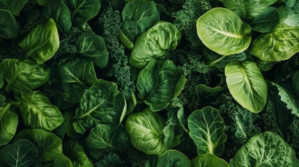 Fototapeta premium Lush Green Leafy Vegetables Background