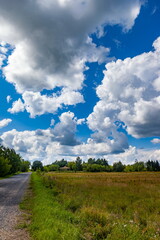 Summer landscape with meadow, forest, white clouds and blue sky