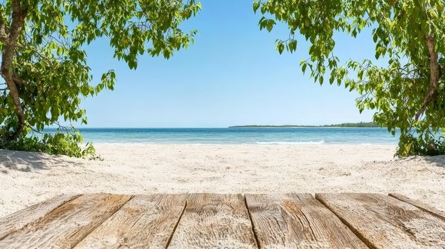 Tropical Beach Landscape with Wooden Plank   Summer Vacation Background