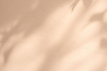 Empty beige background with sunlight superimposed shadow leaves on the wall. autumn background template for product presentation concept