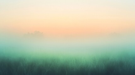 Fototapeta premium A Soft, Misty Sunrise Over a Grassy Field