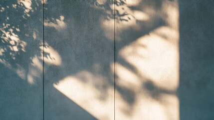 Sunlight Casting Tree Shadows on a Concrete Wall