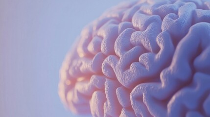 Close-up of human brain with intricate neural pathways, symbolizing cognitive biases and complex thought processes, ideal for educational or scientific presentations.