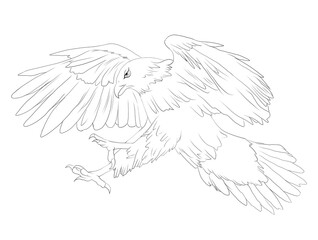 Illustration of eagle with wings