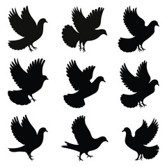Nine Black Dove Silhouettes in Flight