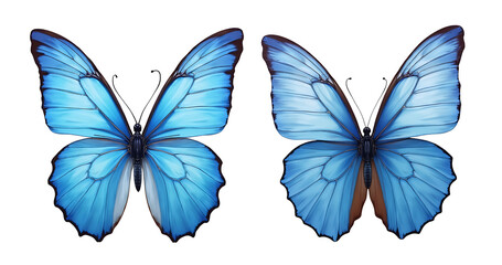Obraz premium A Captivating Display of Vibrant Blue Butterflies Showcasing Intricate Wing Patterns on a Transparent Background.