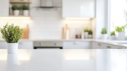 Kitchen Counter with Plant
