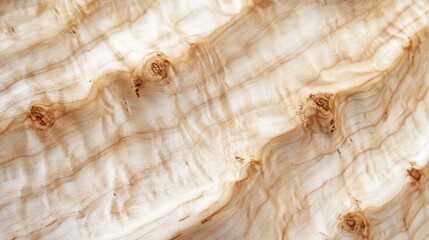 Close-up of light brown wood grain with knots