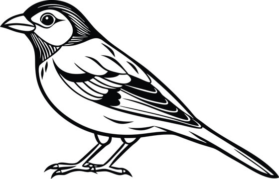 recommend clip art:  Line art drawing of Silhouette black grosbeak bird vector art illustration 