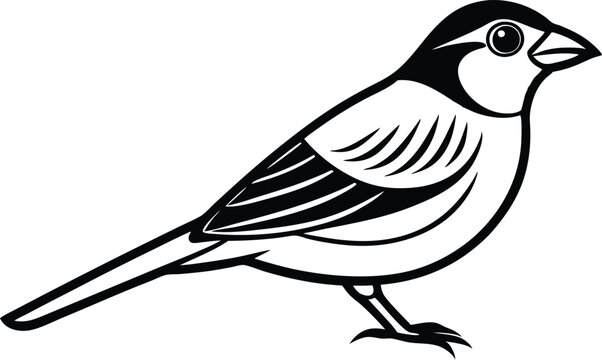 recommend clip art:  Line art drawing of Silhouette black grosbeak bird vector art illustration 