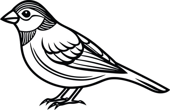 recommend clip art:  Line art drawing of Silhouette black grosbeak bird vector art illustration 