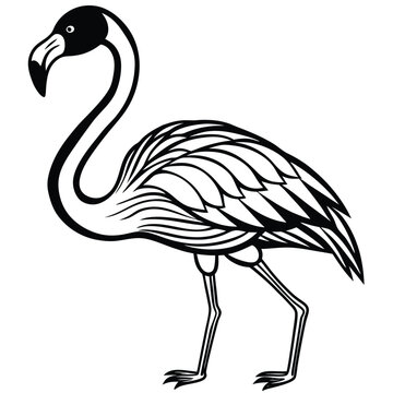 recommend clip art: Flamingo Outline Art Vector.