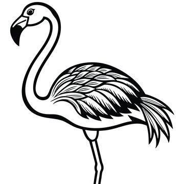 recommend clip art: Flamingo Outline Art Vector.