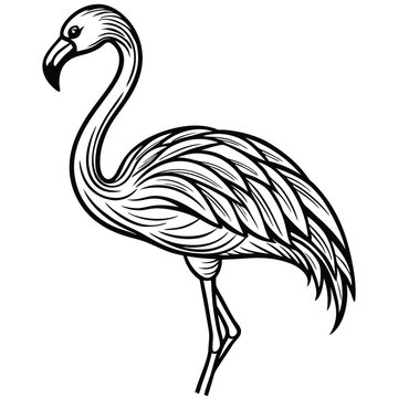 recommend clip art: Flamingo Outline Art Vector.
