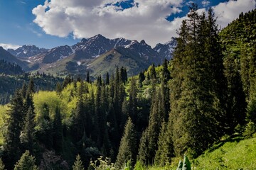 Eco-trail on Medeo overlooking the Tien Shan Mountains, Kazakhstan, Almaty. Summer, sunny
