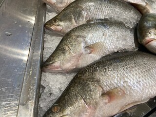 Fresh Fish for sale in the seafood market.Fresh fish for sale in a butcher shop.Fish meat on the stall. selling fresh fish in traditional market. traditional butcher stall.