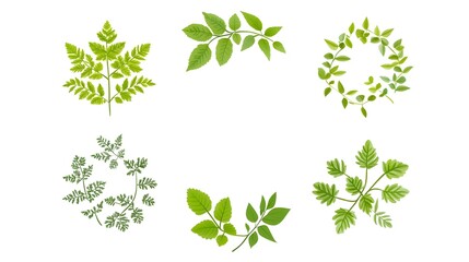Minimalist Circular Leaf Pattern Representing Natural Cycle and Life Flow