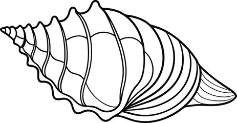 Continuous single outline of Seashell Illustration, Isolated on White Background.