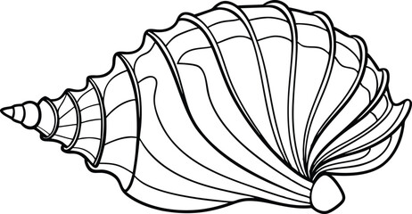 Continuous single outline of Seashell Illustration, Isolated on White Background.