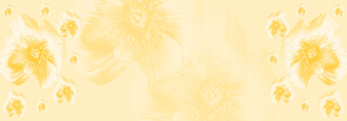 Dreamy blurred yellow gradient background with merging in a pale colored flower composition....