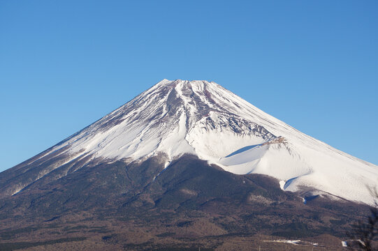 Fototapeta 青空と雪化粧した富士山
