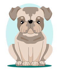 Obraz premium Bulldog. Vector illustration of sitting dog in flat style.