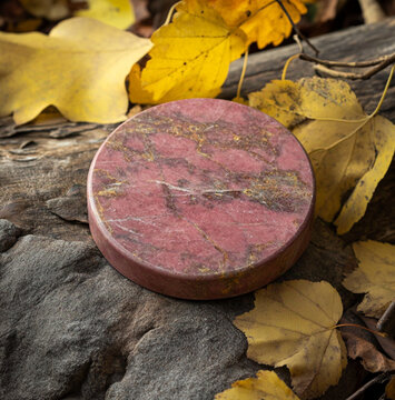 a disk shaped thulite stone against a fallen branch, surrounded by yellow leaves and foliage