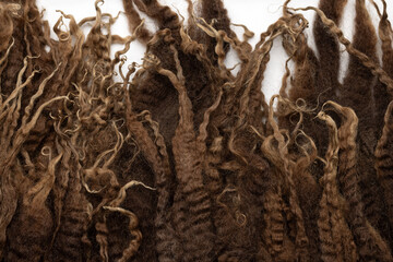 Wool of New Zealand corriedale sheep for felting and handicrafts. Studio shot, close-up. Background, texture.