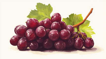 Obraz premium Ripe red grapes with leaves, isolated on a white background.