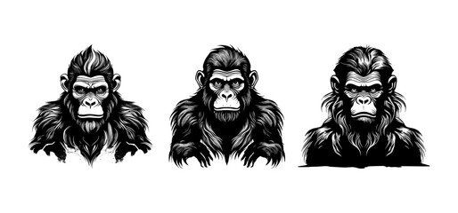 Fototapeta premium set of ape man silhouettes on isolated background