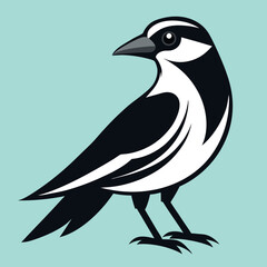 Animal arts of illustrator