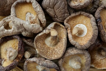 Fototapeta premium Dried mushrooms , Deied shiitake mushrooms, close up