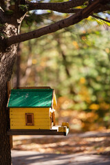 Yellow birdhouse on a spruce tree against the backdrop of an autumn forest.