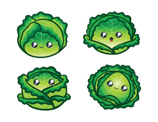 cabbage cute illustration