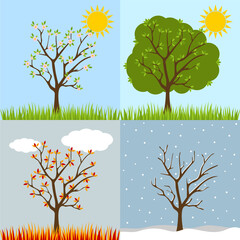 Autumn, winter, spring, summer tree collection with shadow. Seasons of tree. Four seasons trees. Cartoon tree collection