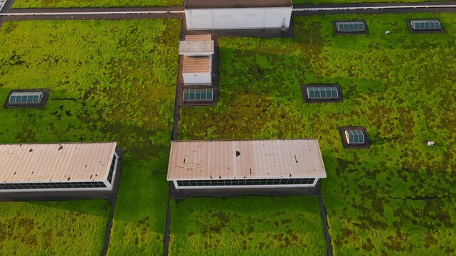 Green mossy rooftop of modern Ford Motors company building rooftop, aerial view