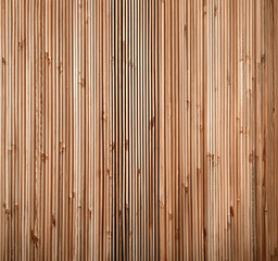 Fototapeta premium background vector