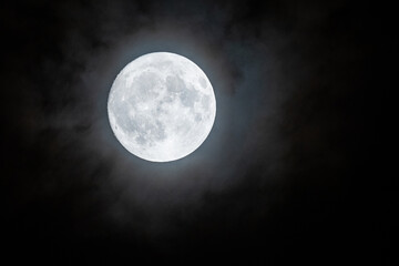 Obraz premium 夜空に輝く美しい月