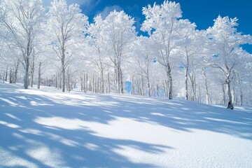 Winter season background full of white snow falling