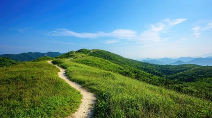 Obraz premium A scenic mountain landscape with a winding trail through lush greenery, set against a bright clear blue sky, perfect for outdoor adventure photography