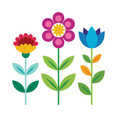 flowers vector illustration.
