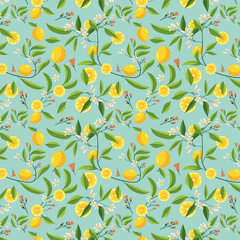 lemon illustration