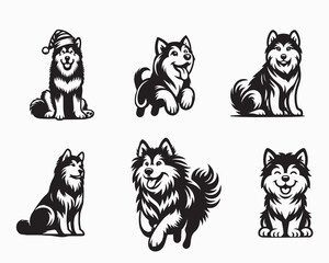 Obraz premium Set of Alaskan Malamute Dog vector illustration - Alaskan Malamute Dog Different Activities Clipart Design