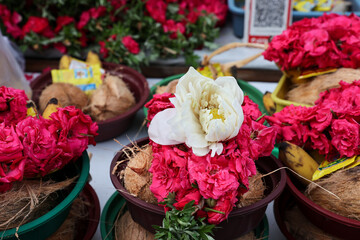 Indian lotus and marigold flowers wit coconut selling at street near Hindu temple Madurai Tamil Nadu India. Flowers for Pooja prayers