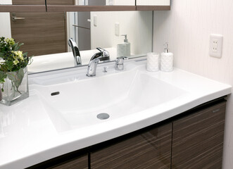 チャイルドミラー付きカウンター一体型洗面化粧台、住宅設備