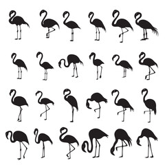 Obraz premium Set Of Flamingo Standing silhouette design, Flamingo Bird vector illustration