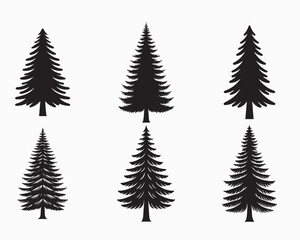 Obraz premium Collection of Spruce Plant vector illustration - Spruce Tree Silhouettes Clipart Design 