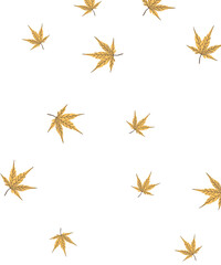 Obraz premium stars