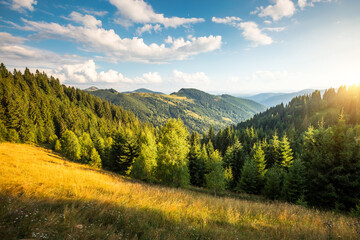 Breathtaking summer day in wild mountains with coniferous forest and green slopes. Carpathian mountains, Ukraine, Europe.